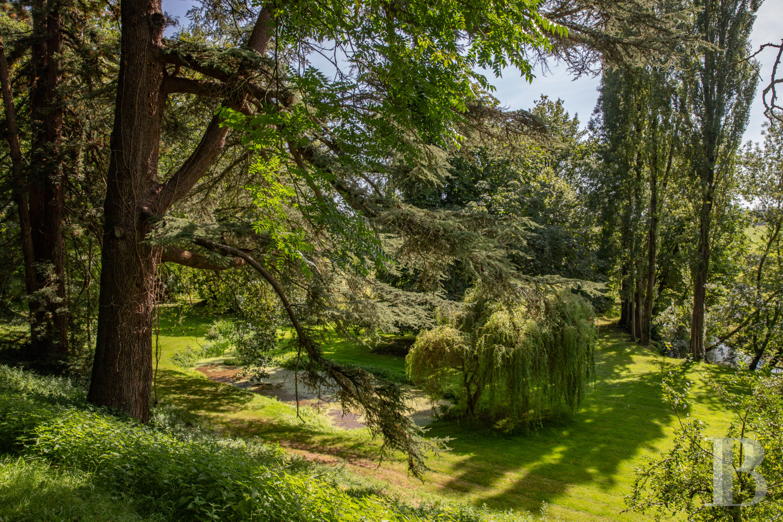 Dans le Perche, au nord-est de Bellême, une maison des 18e et 19e siècle au milieu de grands arbres  - photo  n°45
